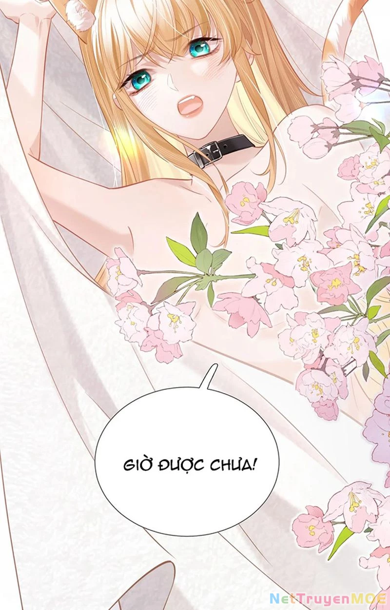 Thưa Ngài, Đuôi Của Ngài Không Giấu Được Nữa Rồi Chapter 2 - Trang 2