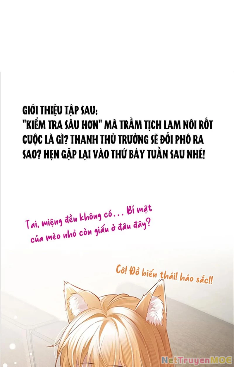 Thưa Ngài, Đuôi Của Ngài Không Giấu Được Nữa Rồi Chapter 2 - Trang 2