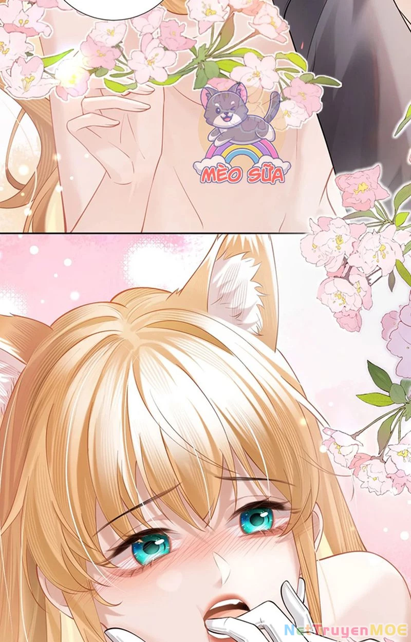 Thưa Ngài, Đuôi Của Ngài Không Giấu Được Nữa Rồi Chapter 3 - Trang 2