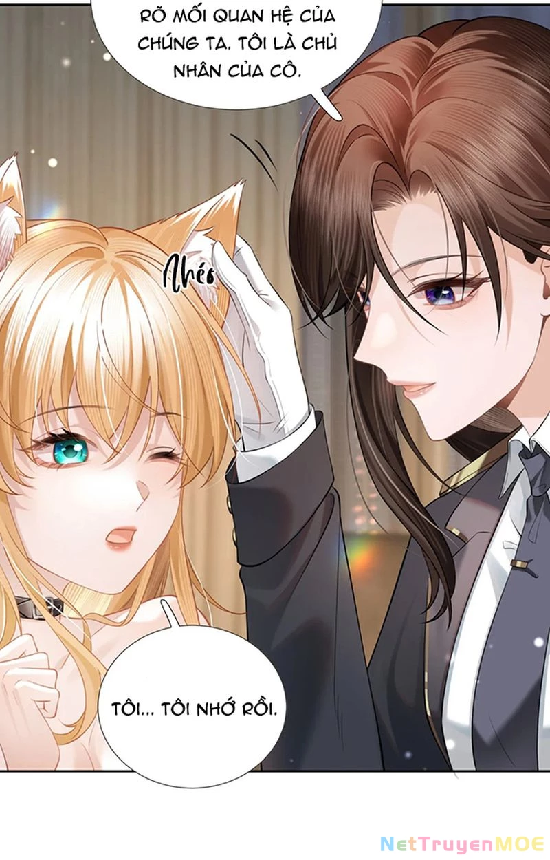 Thưa Ngài, Đuôi Của Ngài Không Giấu Được Nữa Rồi Chapter 3 - Trang 2