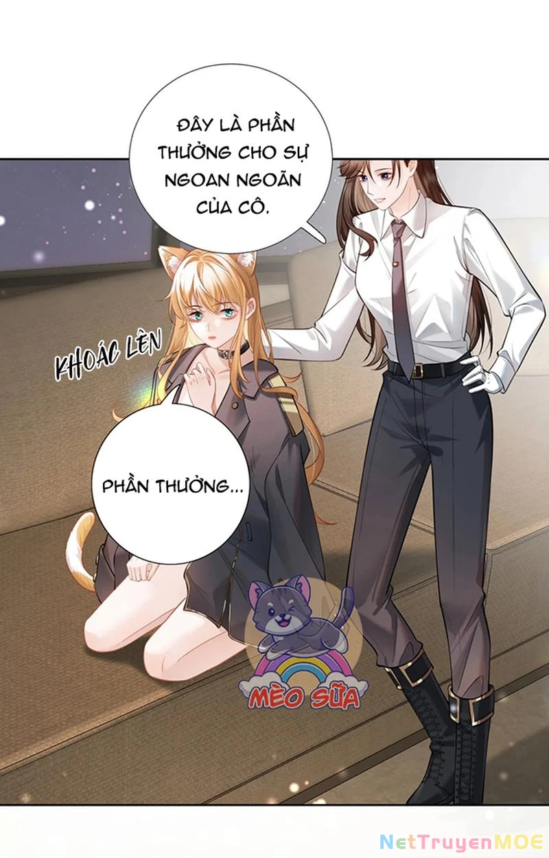 Thưa Ngài, Đuôi Của Ngài Không Giấu Được Nữa Rồi Chapter 3 - Trang 2