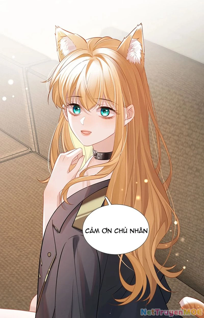 Thưa Ngài, Đuôi Của Ngài Không Giấu Được Nữa Rồi Chapter 3 - Trang 2