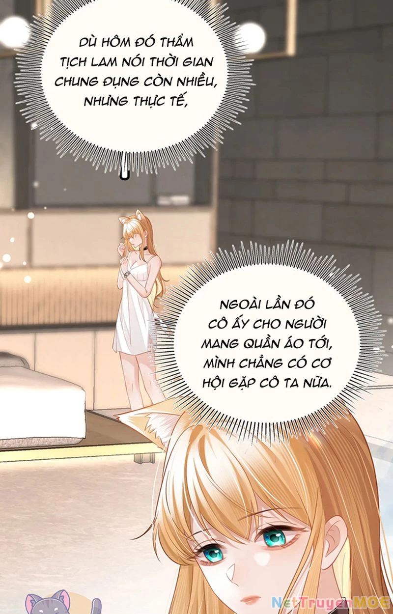 Thưa Ngài, Đuôi Của Ngài Không Giấu Được Nữa Rồi Chapter 3 - Trang 2