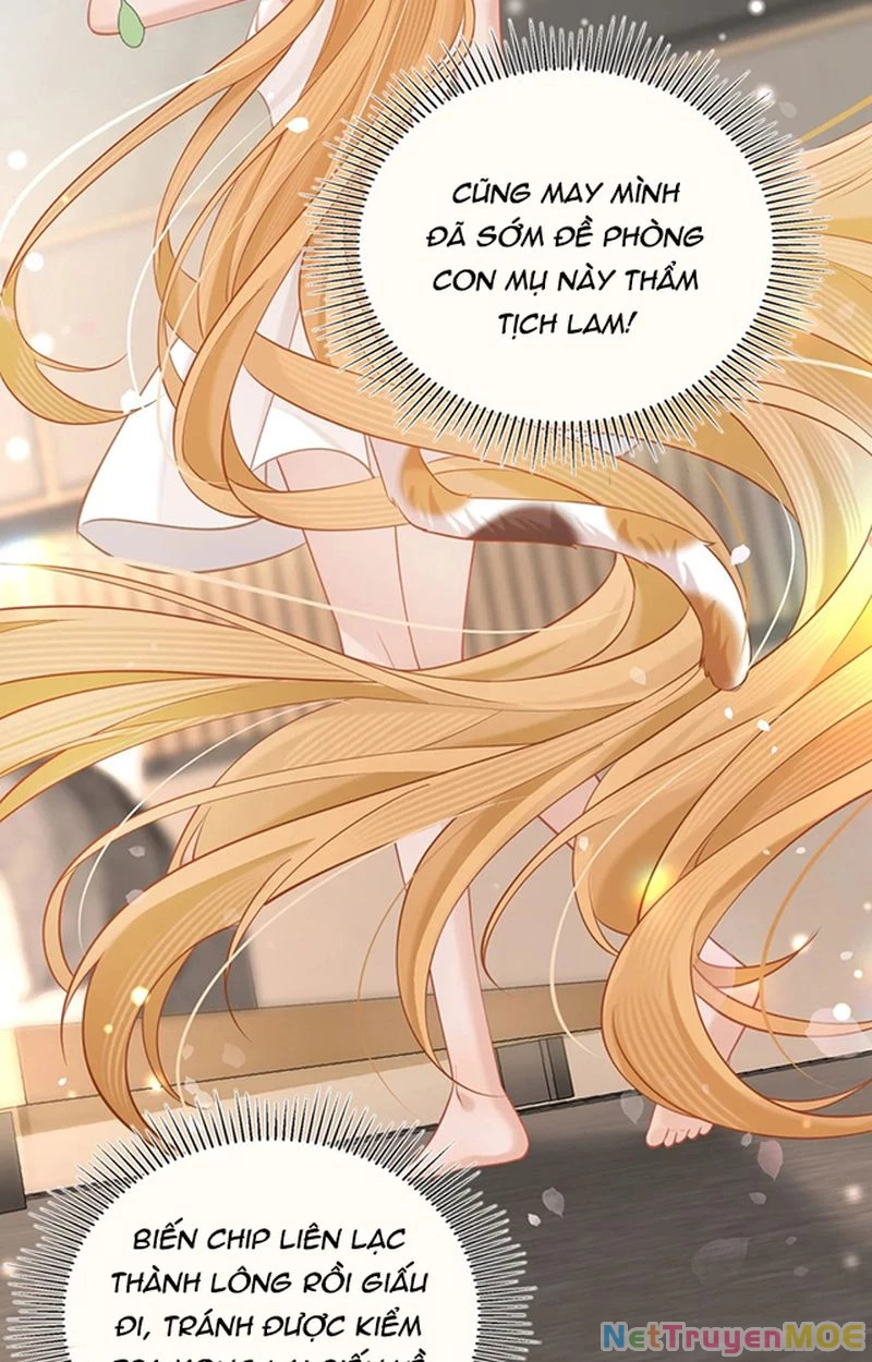 Thưa Ngài, Đuôi Của Ngài Không Giấu Được Nữa Rồi Chapter 3 - Trang 2
