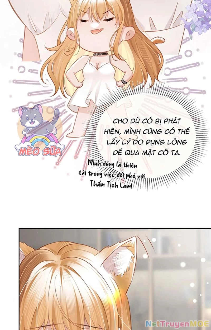 Thưa Ngài, Đuôi Của Ngài Không Giấu Được Nữa Rồi Chapter 3 - Trang 2