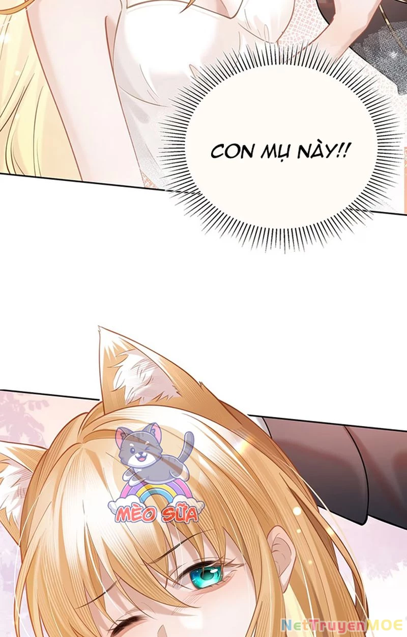Thưa Ngài, Đuôi Của Ngài Không Giấu Được Nữa Rồi Chapter 3 - Trang 2