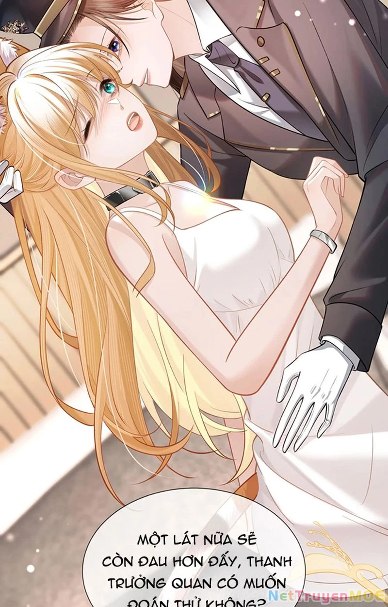 Thưa Ngài, Đuôi Của Ngài Không Giấu Được Nữa Rồi Chapter 3 - Trang 2