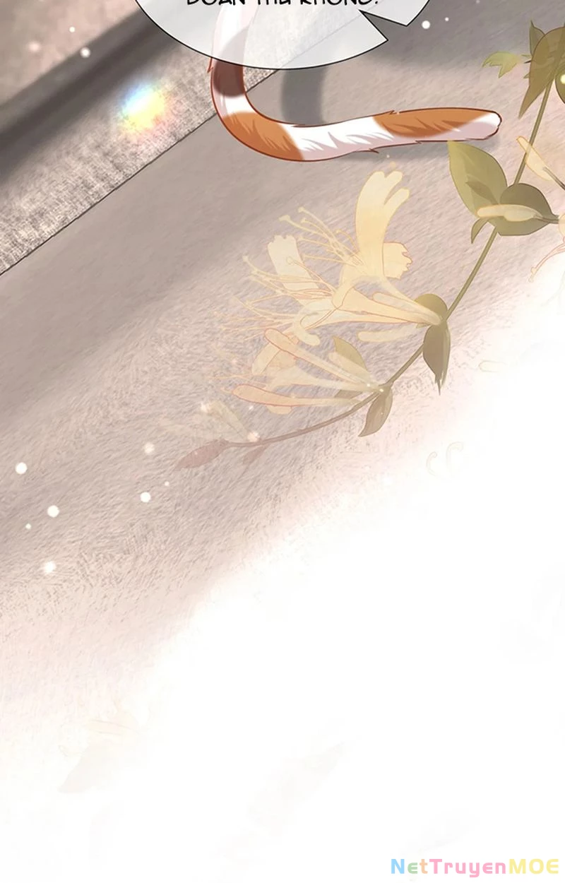 Thưa Ngài, Đuôi Của Ngài Không Giấu Được Nữa Rồi Chapter 3 - Trang 2