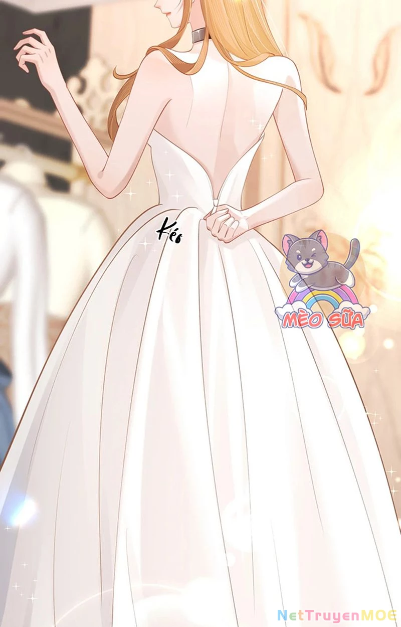 Thưa Ngài, Đuôi Của Ngài Không Giấu Được Nữa Rồi Chapter 4 - Trang 2