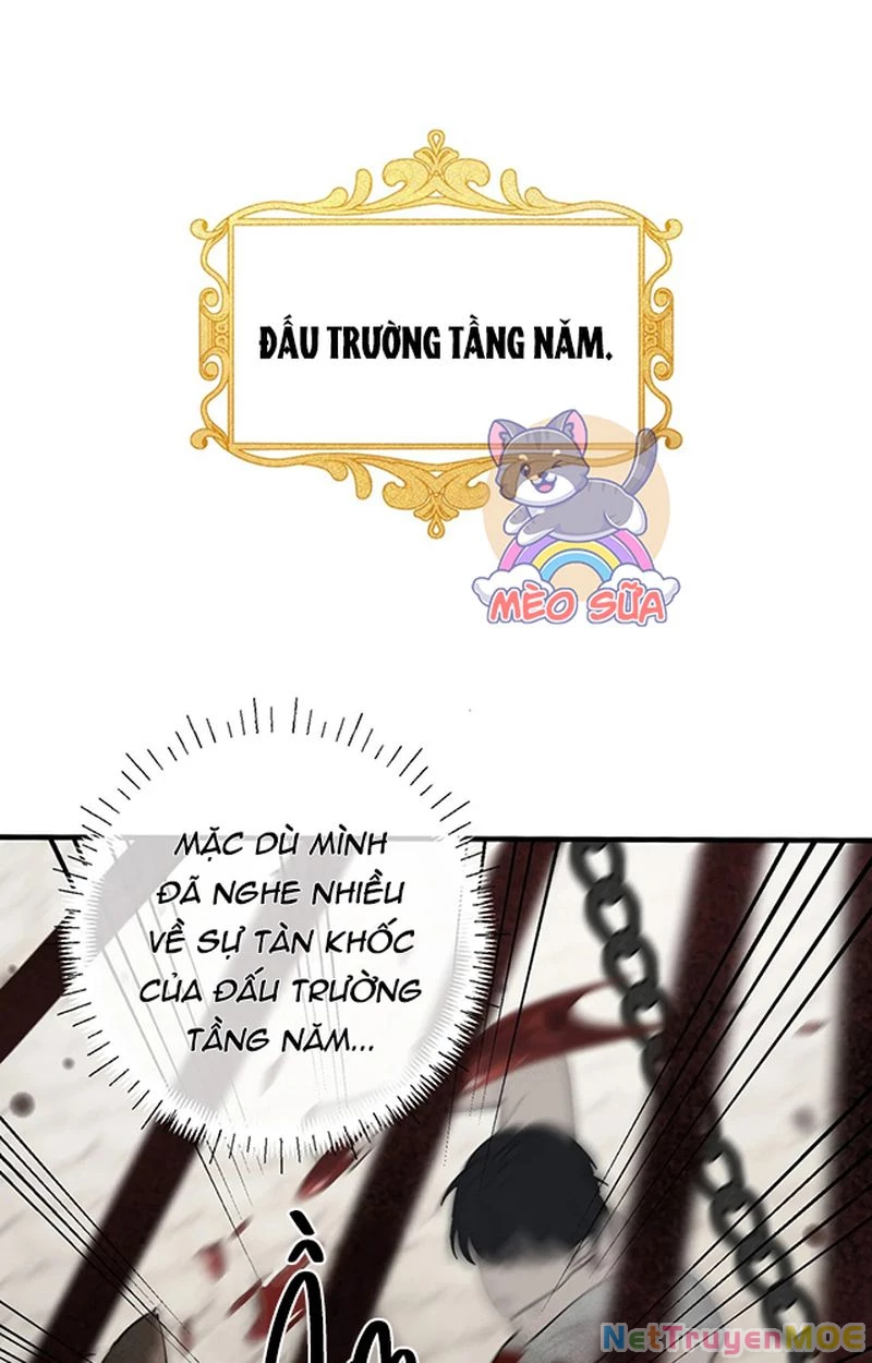Thưa Ngài, Đuôi Của Ngài Không Giấu Được Nữa Rồi Chapter 4 - Trang 2