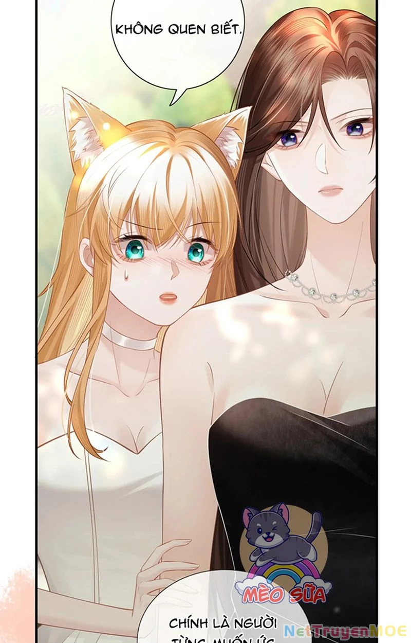Thưa Ngài, Đuôi Của Ngài Không Giấu Được Nữa Rồi Chapter 5 - Trang 2