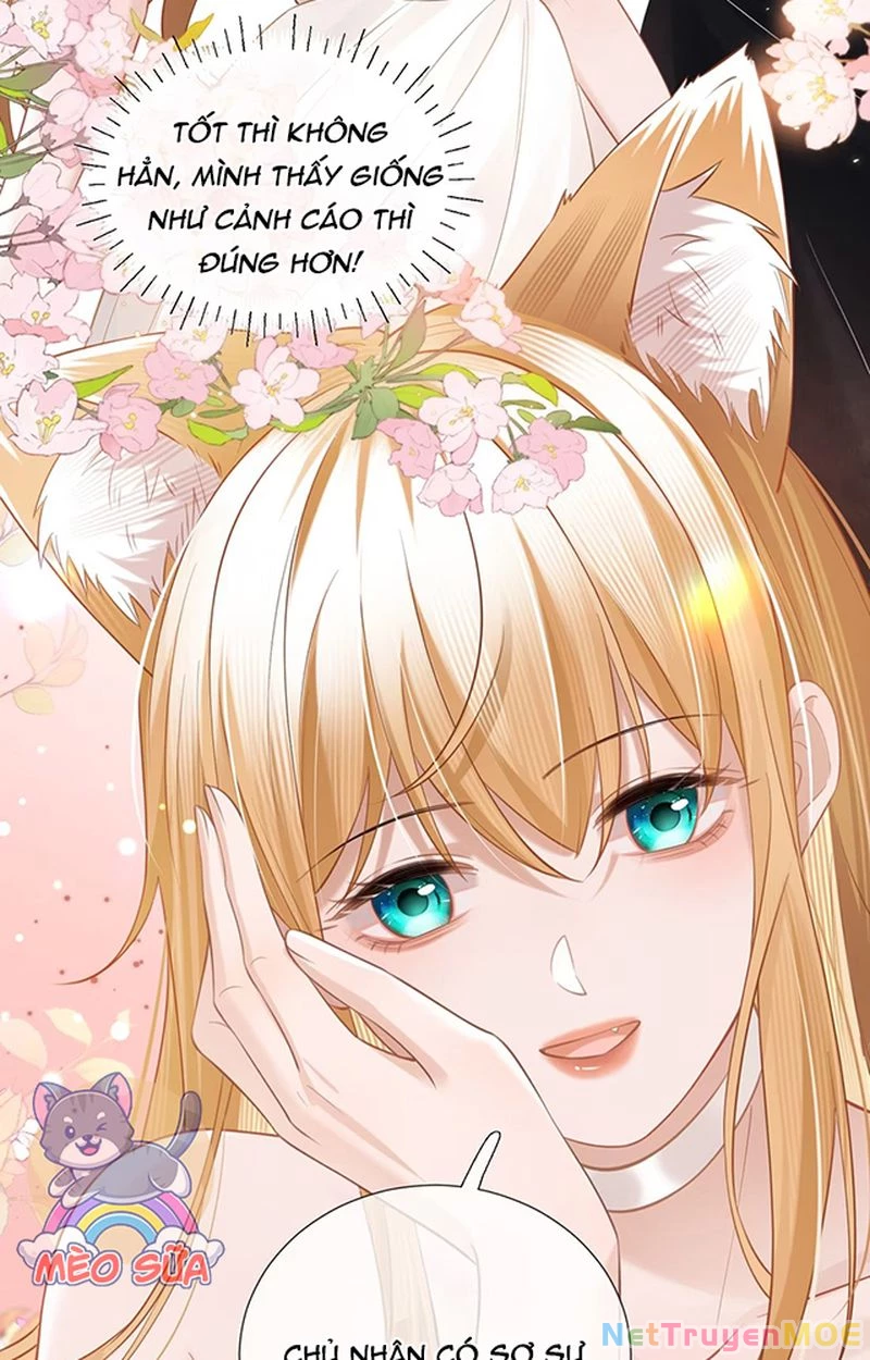 Thưa Ngài, Đuôi Của Ngài Không Giấu Được Nữa Rồi Chapter 5 - Trang 2