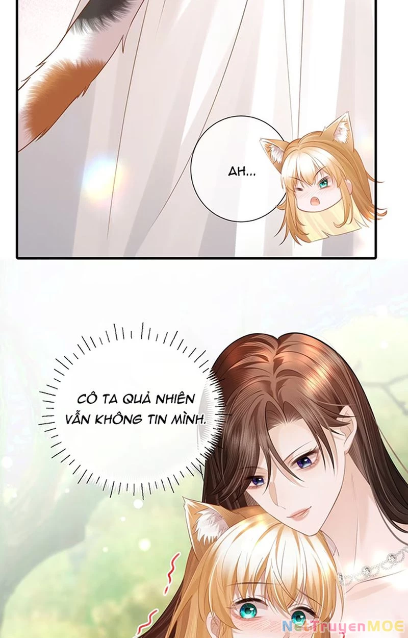 Thưa Ngài, Đuôi Của Ngài Không Giấu Được Nữa Rồi Chapter 5 - Trang 2