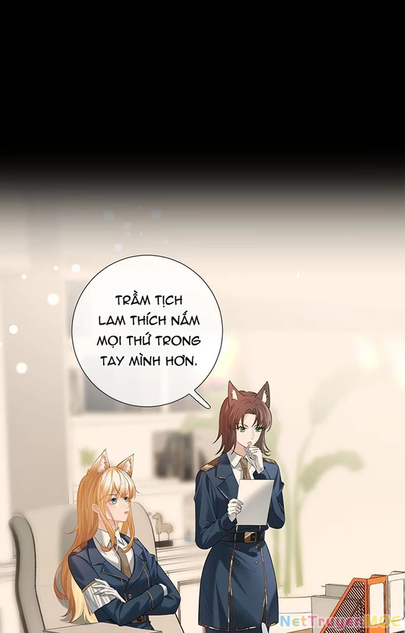 Thưa Ngài, Đuôi Của Ngài Không Giấu Được Nữa Rồi Chapter 5 - Trang 2
