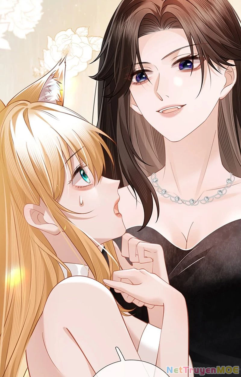 Thưa Ngài, Đuôi Của Ngài Không Giấu Được Nữa Rồi Chapter 6 - Trang 2