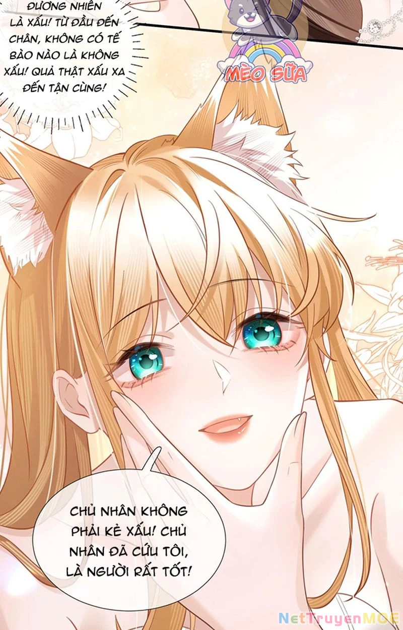 Thưa Ngài, Đuôi Của Ngài Không Giấu Được Nữa Rồi Chapter 6 - Trang 2