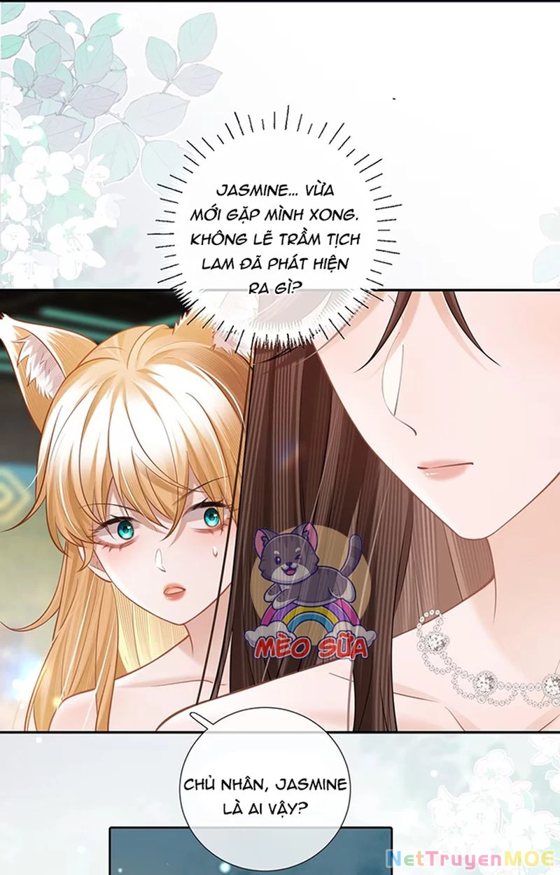 Thưa Ngài, Đuôi Của Ngài Không Giấu Được Nữa Rồi Chapter 7 - Trang 2