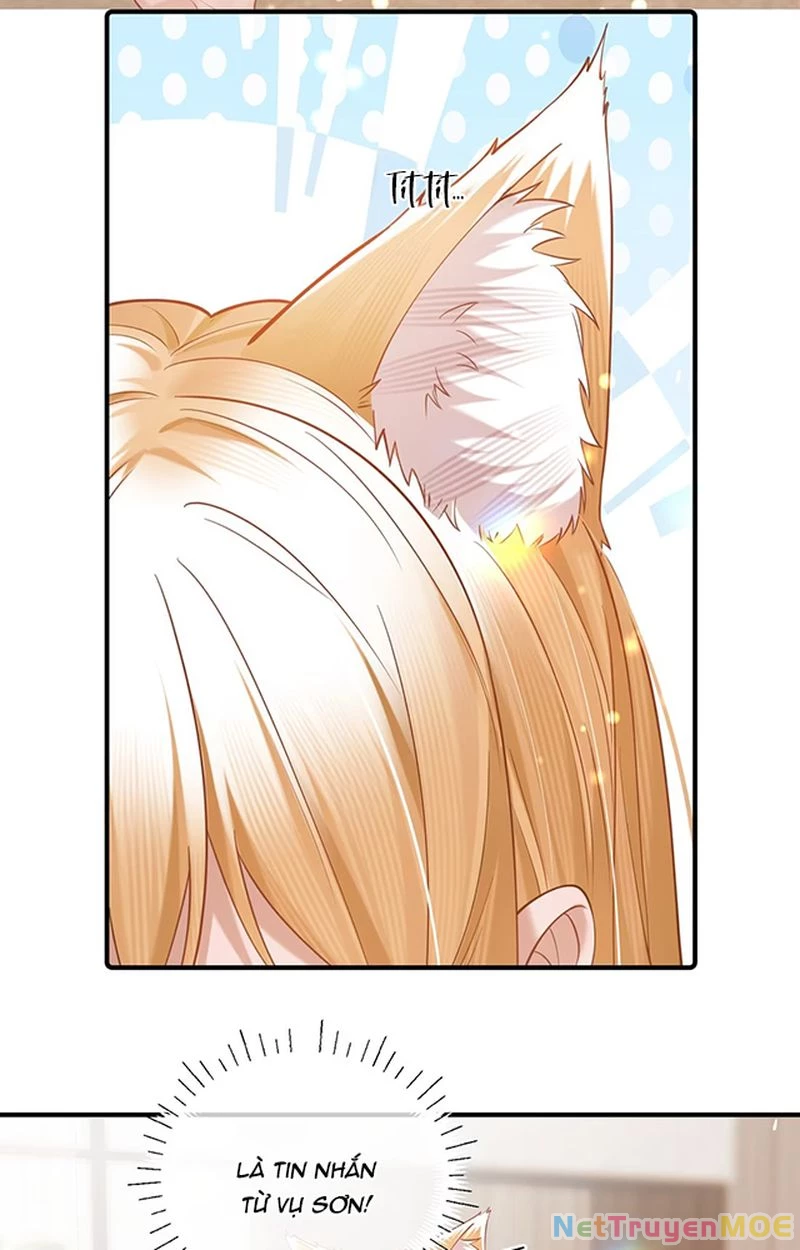 Thưa Ngài, Đuôi Của Ngài Không Giấu Được Nữa Rồi Chapter 8 - Trang 2