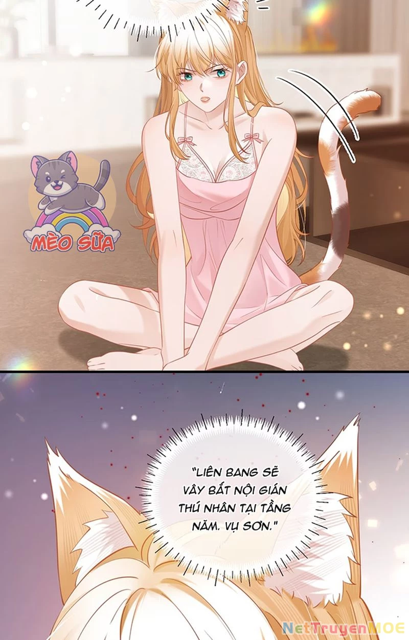 Thưa Ngài, Đuôi Của Ngài Không Giấu Được Nữa Rồi Chapter 8 - Trang 2