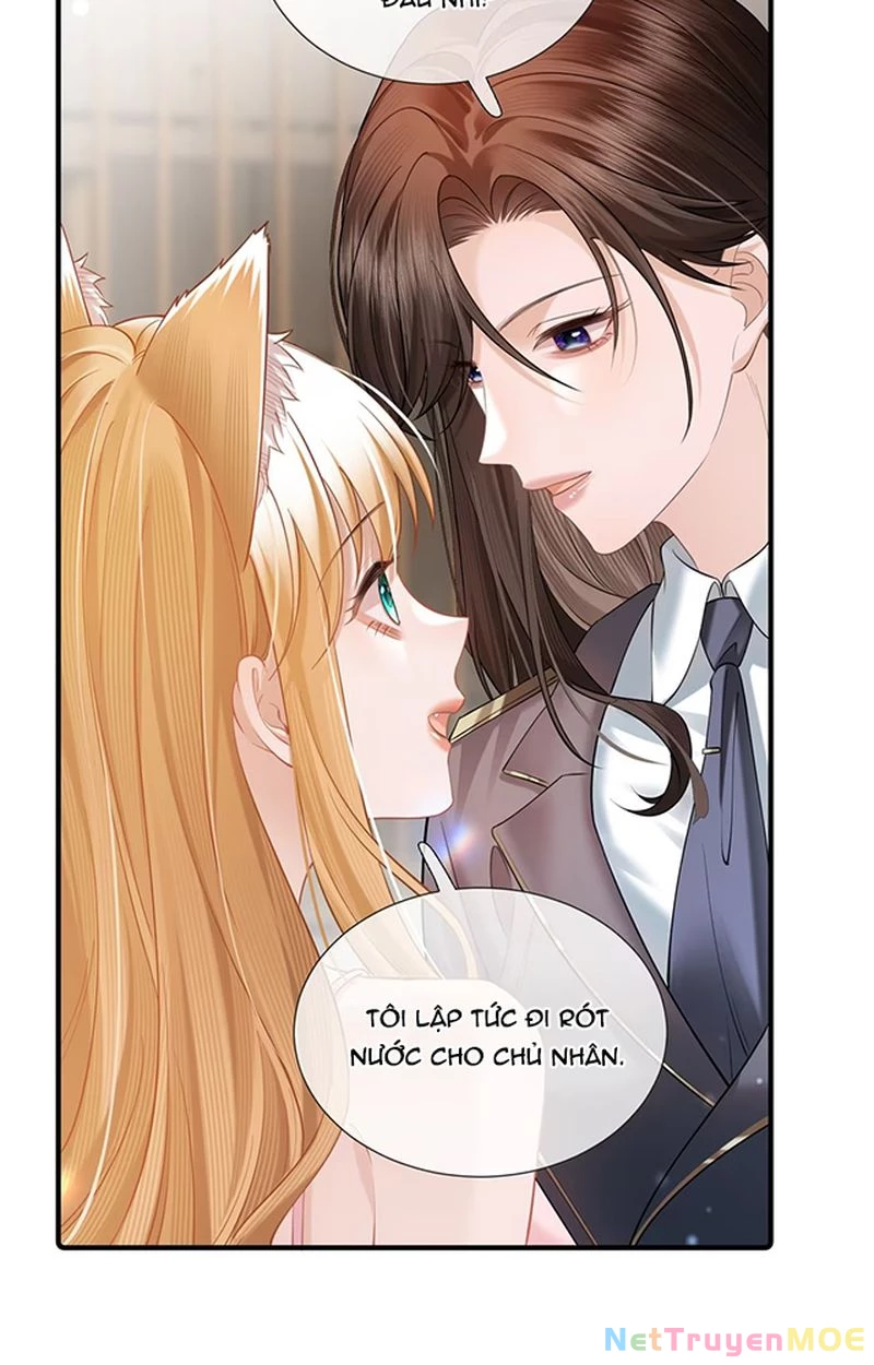 Thưa Ngài, Đuôi Của Ngài Không Giấu Được Nữa Rồi Chapter 8 - Trang 2