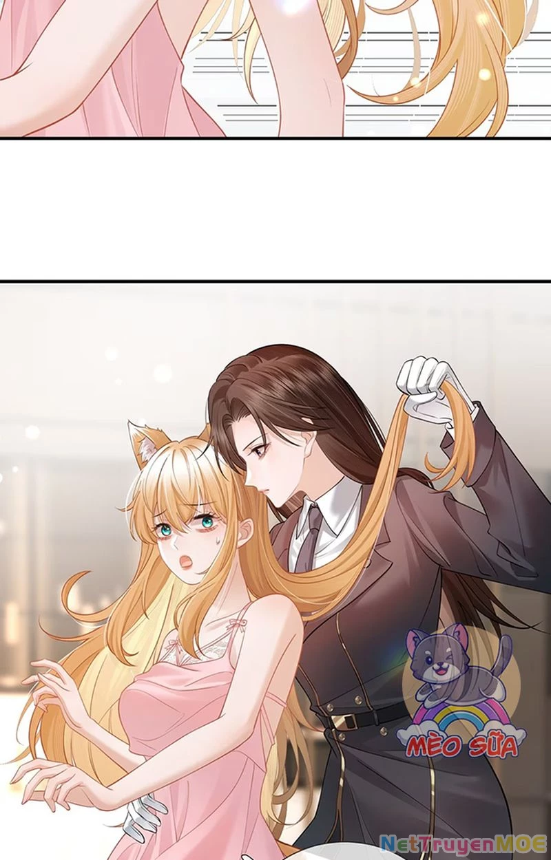 Thưa Ngài, Đuôi Của Ngài Không Giấu Được Nữa Rồi Chapter 8 - Trang 2