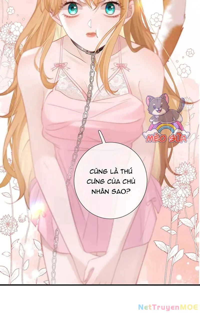 Thưa Ngài, Đuôi Của Ngài Không Giấu Được Nữa Rồi Chapter 9 - Trang 2