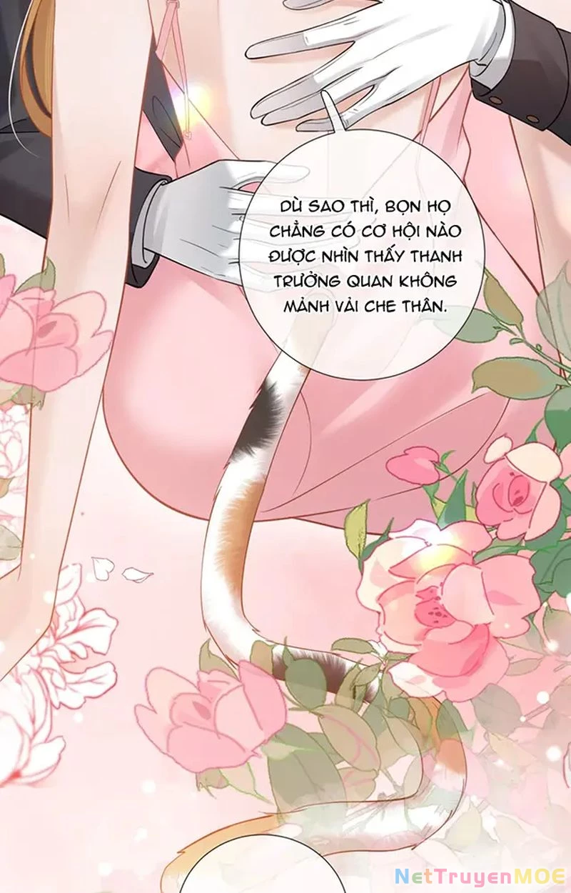 Thưa Ngài, Đuôi Của Ngài Không Giấu Được Nữa Rồi Chapter 9 - Trang 2