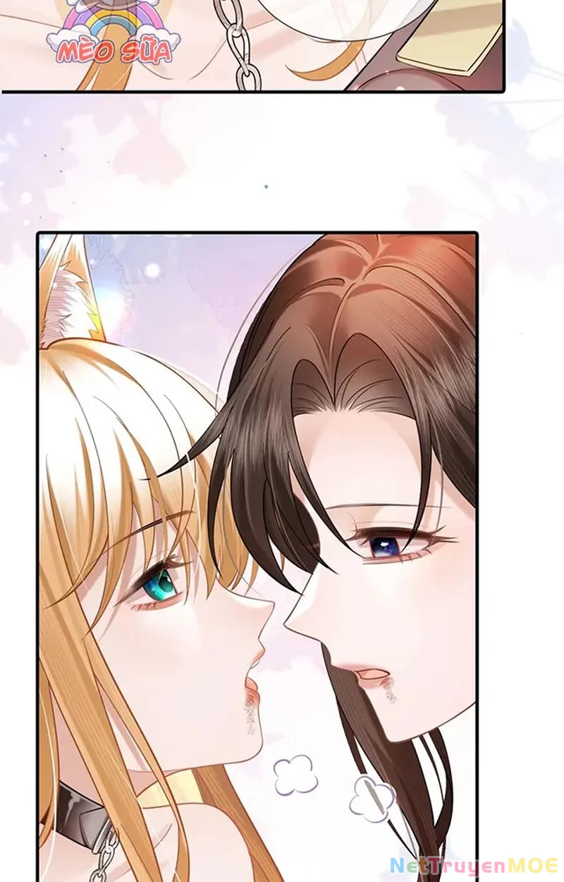 Thưa Ngài, Đuôi Của Ngài Không Giấu Được Nữa Rồi Chapter 9 - Trang 2
