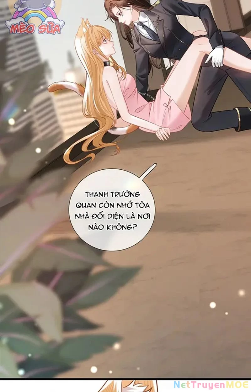 Thưa Ngài, Đuôi Của Ngài Không Giấu Được Nữa Rồi Chapter 9 - Trang 2