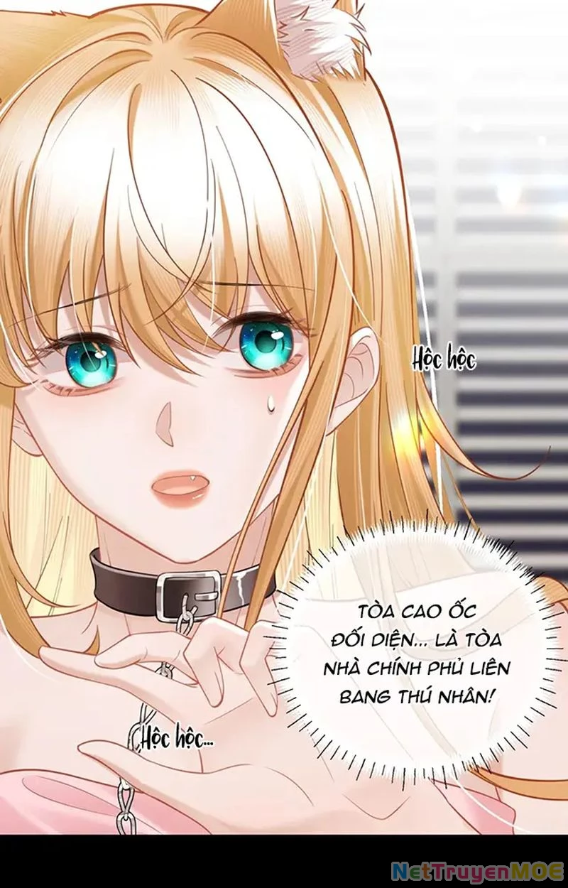 Thưa Ngài, Đuôi Của Ngài Không Giấu Được Nữa Rồi Chapter 9 - Trang 2