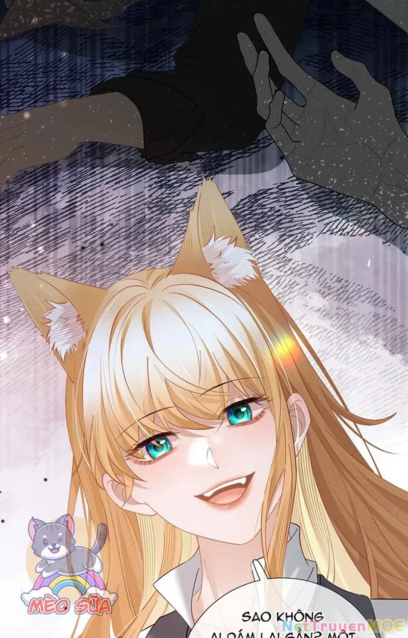 Thưa Ngài, Đuôi Của Ngài Không Giấu Được Nữa Rồi Chapter 17 - Trang 2