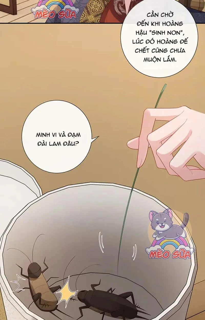 Không Biết Bệ Hạ Là Một Tiểu Cô Nương Chapter 83 - Trang 3