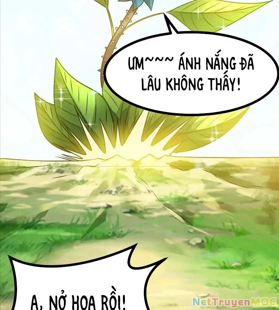 Thôn phệ đi, đại chùy hoa Chapter 64 - Trang 2
