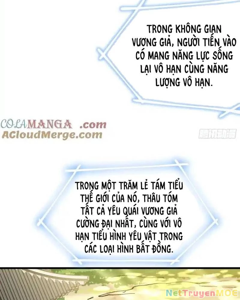 Ta Nhờ Đồ Đệ Kéo Dài Tính Mạng Chapter 33 - Trang 3