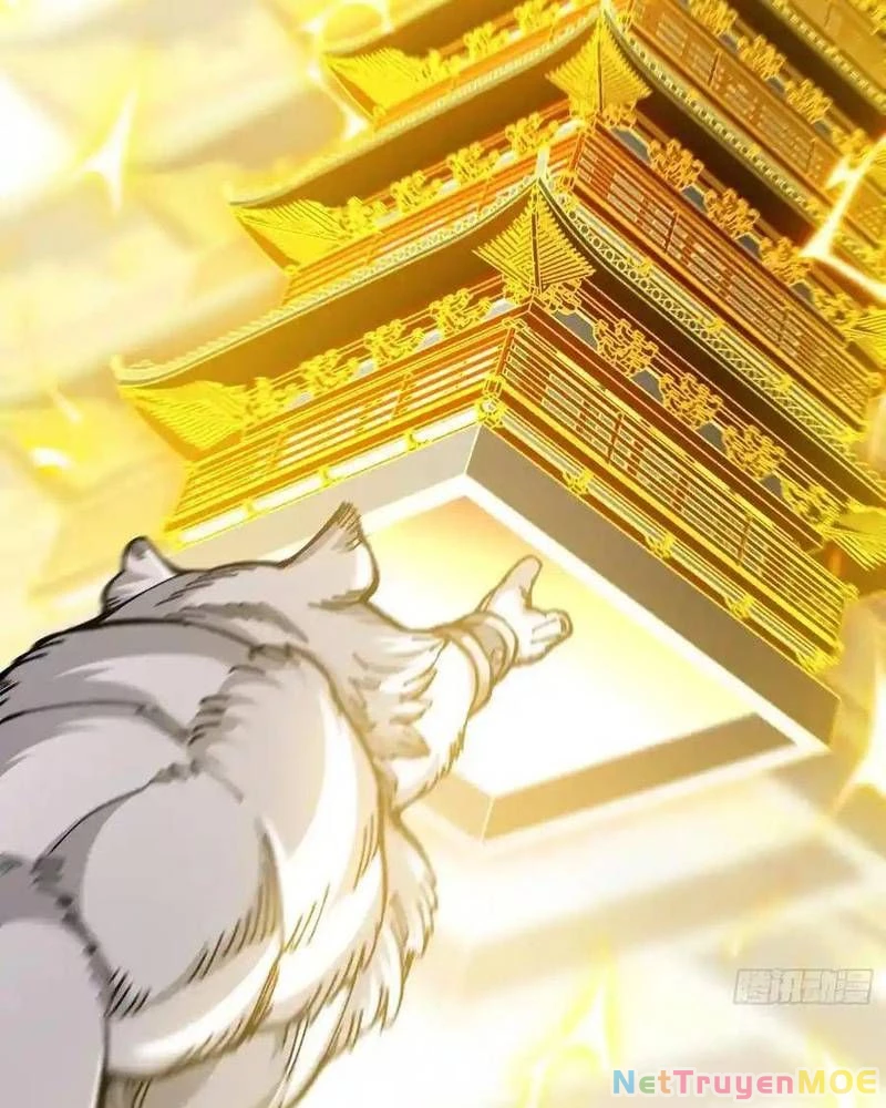 Ta Nhờ Đồ Đệ Kéo Dài Tính Mạng Chapter 38 - Trang 3