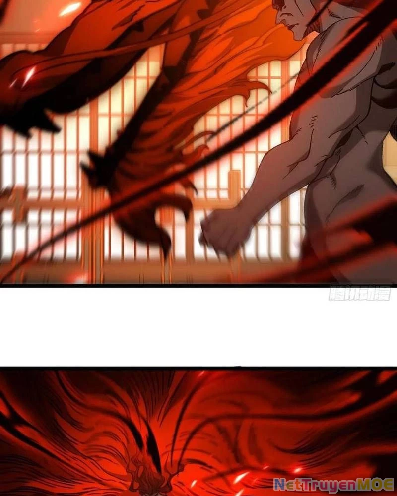 Ta Nhờ Đồ Đệ Kéo Dài Tính Mạng Chapter 41 - Trang 3