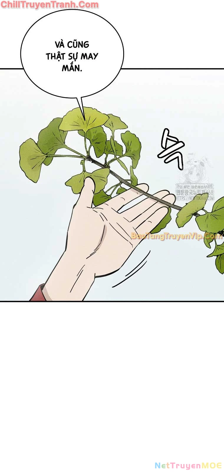 Trọng Sinh Thành Thần Y Thời Tam Quốc Chapter 151 - Trang 4