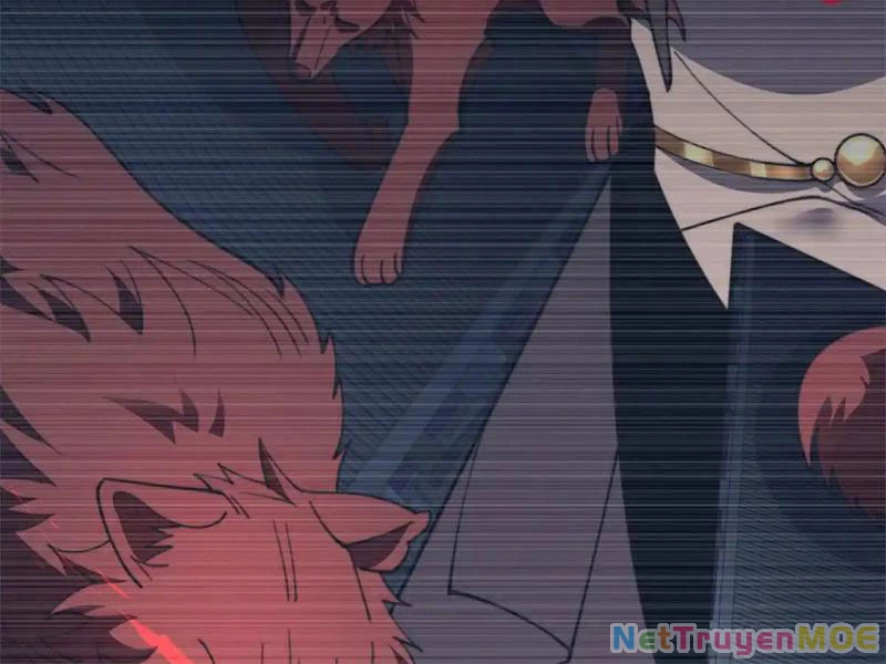 Giải Cứu Thế Giới Bằng Cách Thăng Cấp Chapter 28 - Trang 3