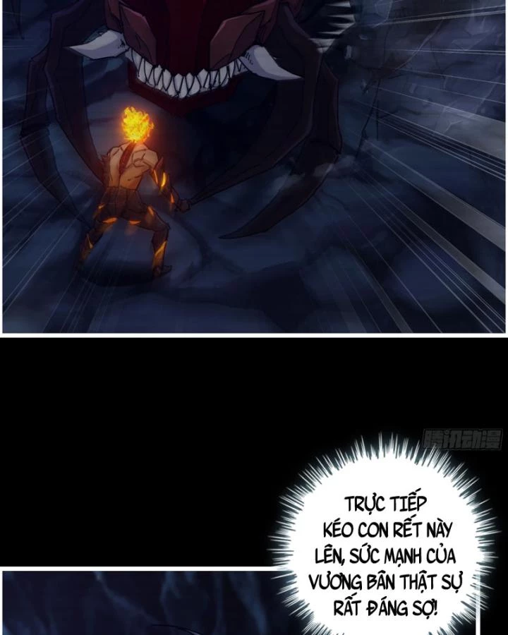 Tôi Chuyển Vàng Tại Mạt Thế Chapter 695 - Trang 3
