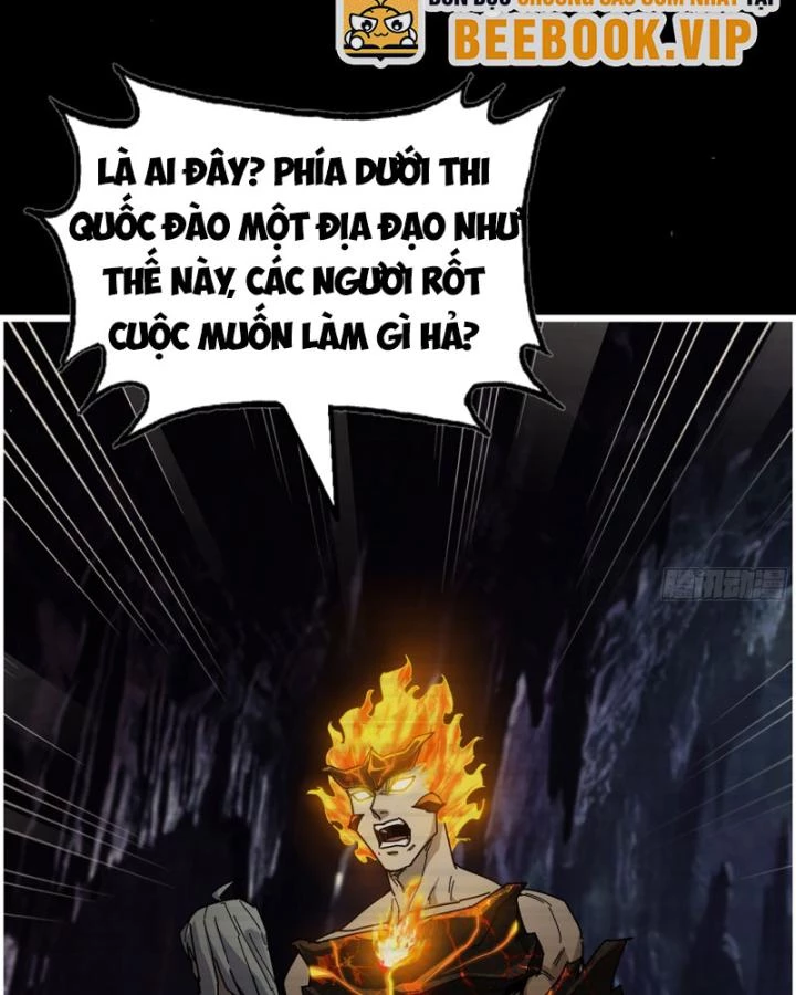 Tôi Chuyển Vàng Tại Mạt Thế Chapter 695 - Trang 3
