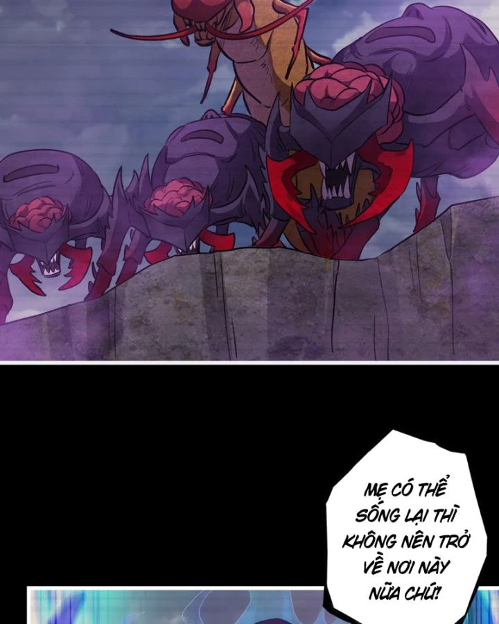 Tôi Chuyển Vàng Tại Mạt Thế Chapter 702 - Trang 2