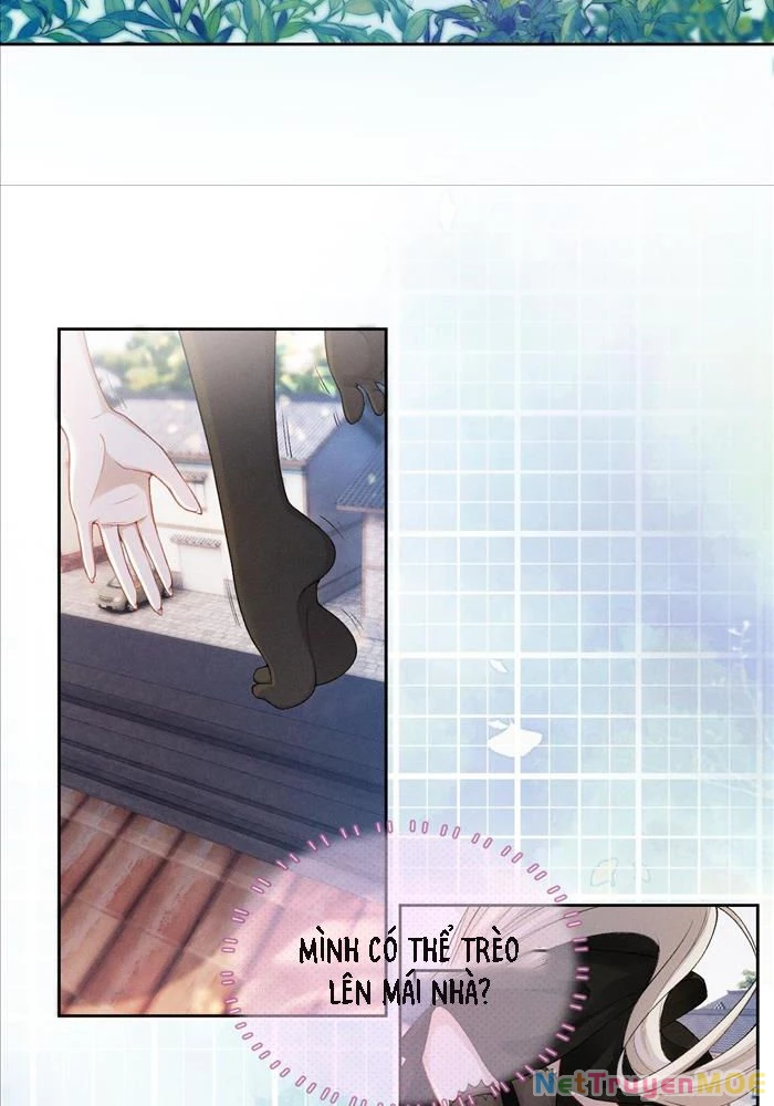 Đêm Tối Khẽ Hôn Tôi Chapter 4 - Trang 2