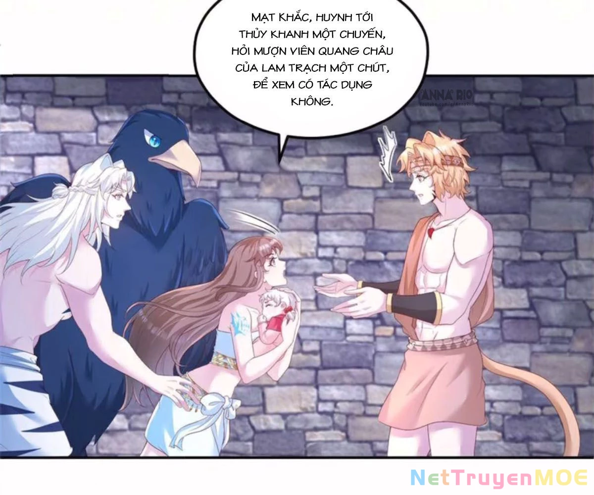 Thảnh Thơi Thú Thế Chủng Chủng Điền, Sinh Sinh Tể Chapter 702 - Trang 2