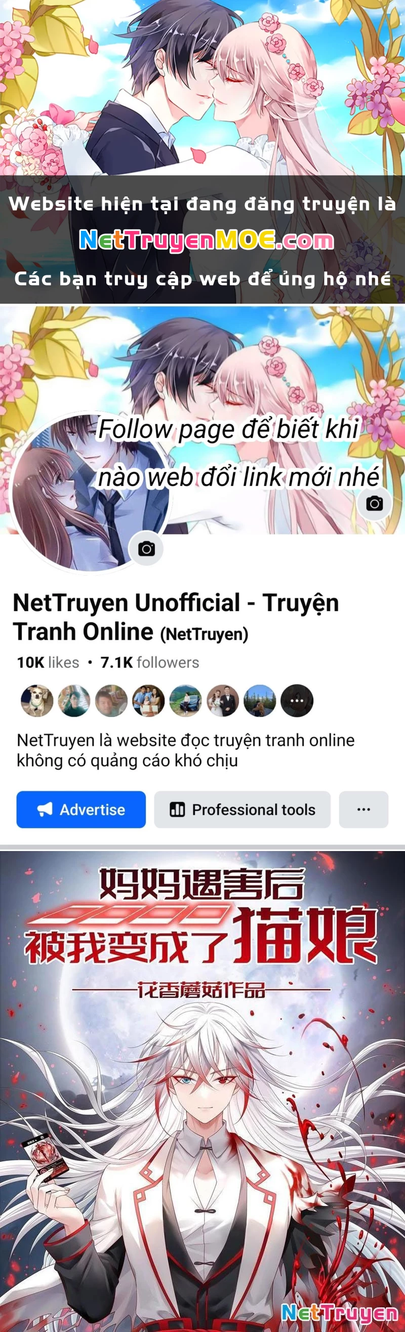 Ta biến thành miêu nương Chapter 24 - Trang 3