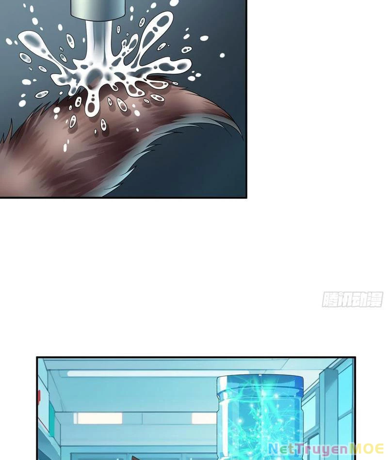 Ta biến thành miêu nương Chapter 24 - Trang 3