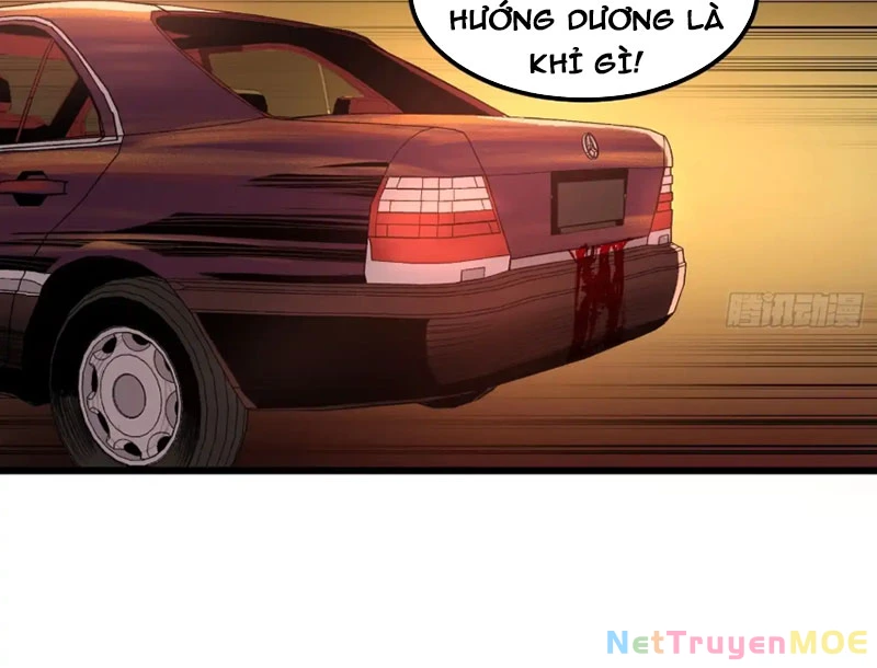 Về Nam Thiên Chapter 10 - Next 