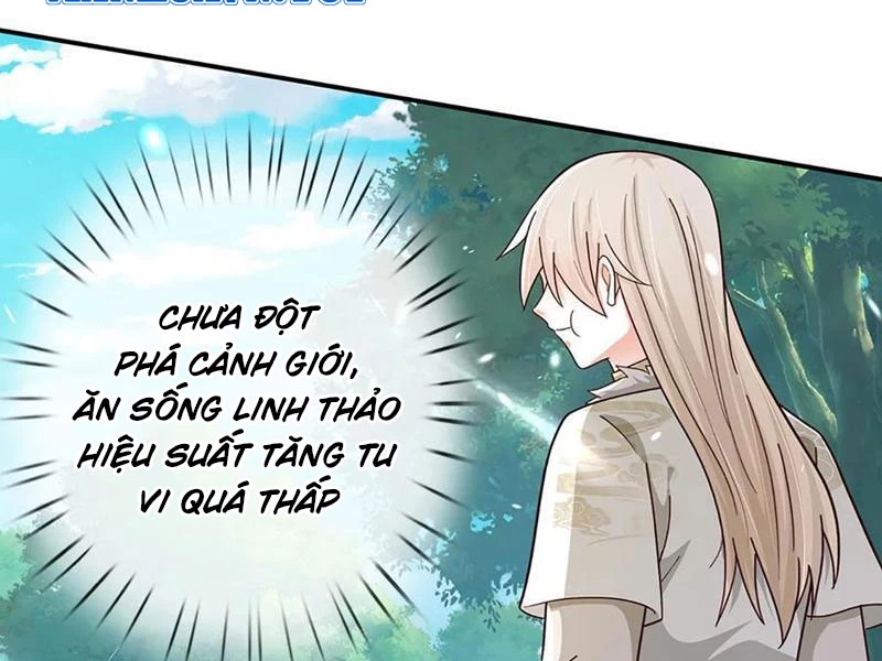 Khắc Đan Tu Tiên Cầu Trường Sinh Chapter 62 - Trang 2