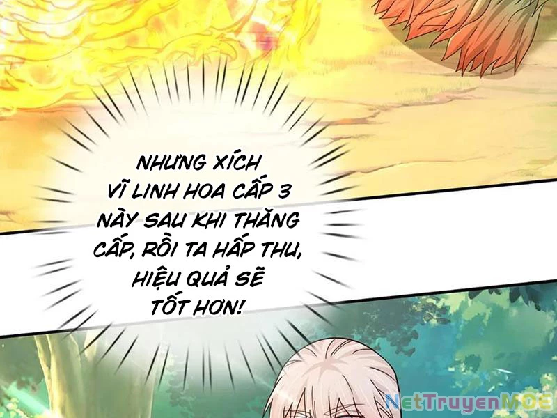 Khắc Đan Tu Tiên Cầu Trường Sinh Chapter 62 - Trang 2