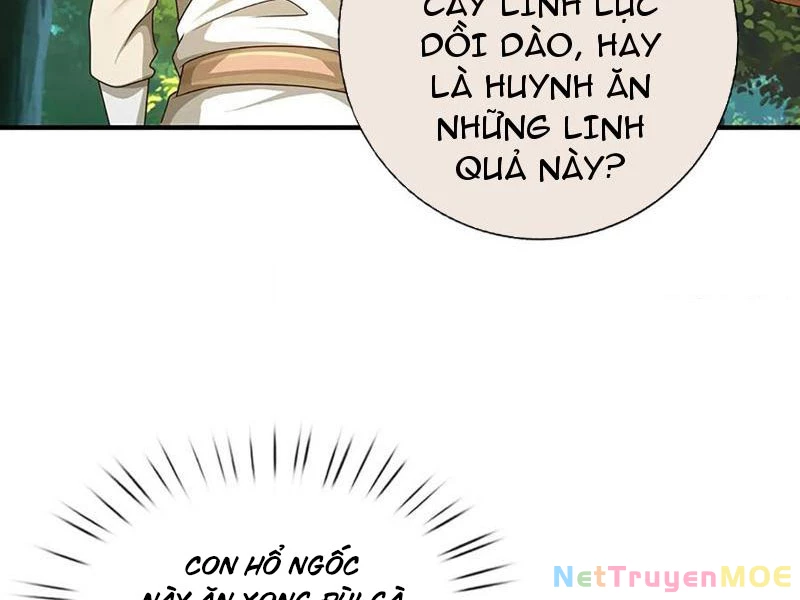 Khắc Đan Tu Tiên Cầu Trường Sinh Chapter 70 - Trang 2