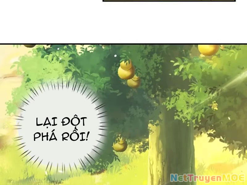 Khắc Đan Tu Tiên Cầu Trường Sinh Chapter 71 - Trang 2